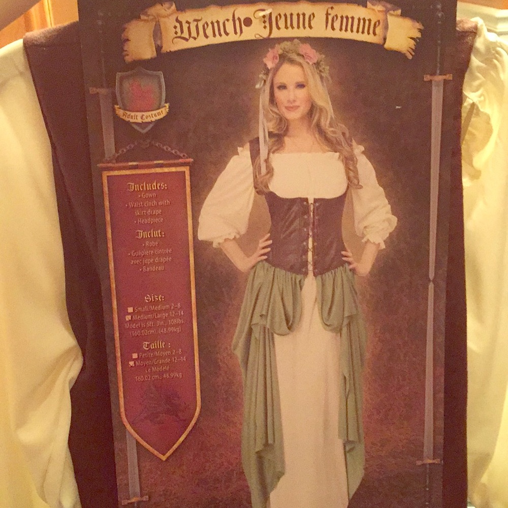 BRAND NEW** Wench/BeerMaid Costume🌸